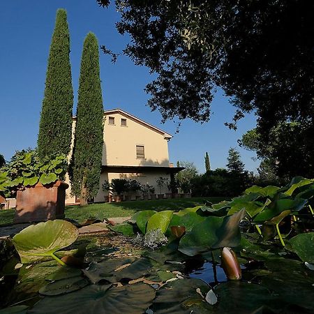 Agriturismo Le Vallette Bibbona Ngoại thất bức ảnh