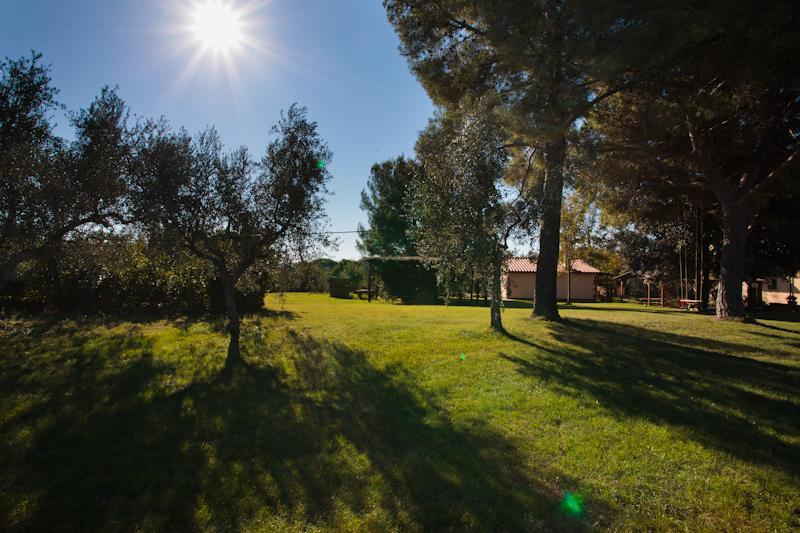Agriturismo Le Vallette Bibbona Ngoại thất bức ảnh