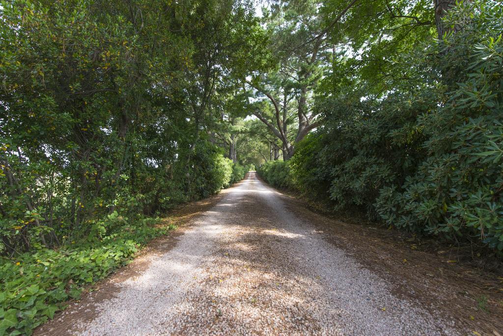 Agriturismo Le Vallette Bibbona Ngoại thất bức ảnh