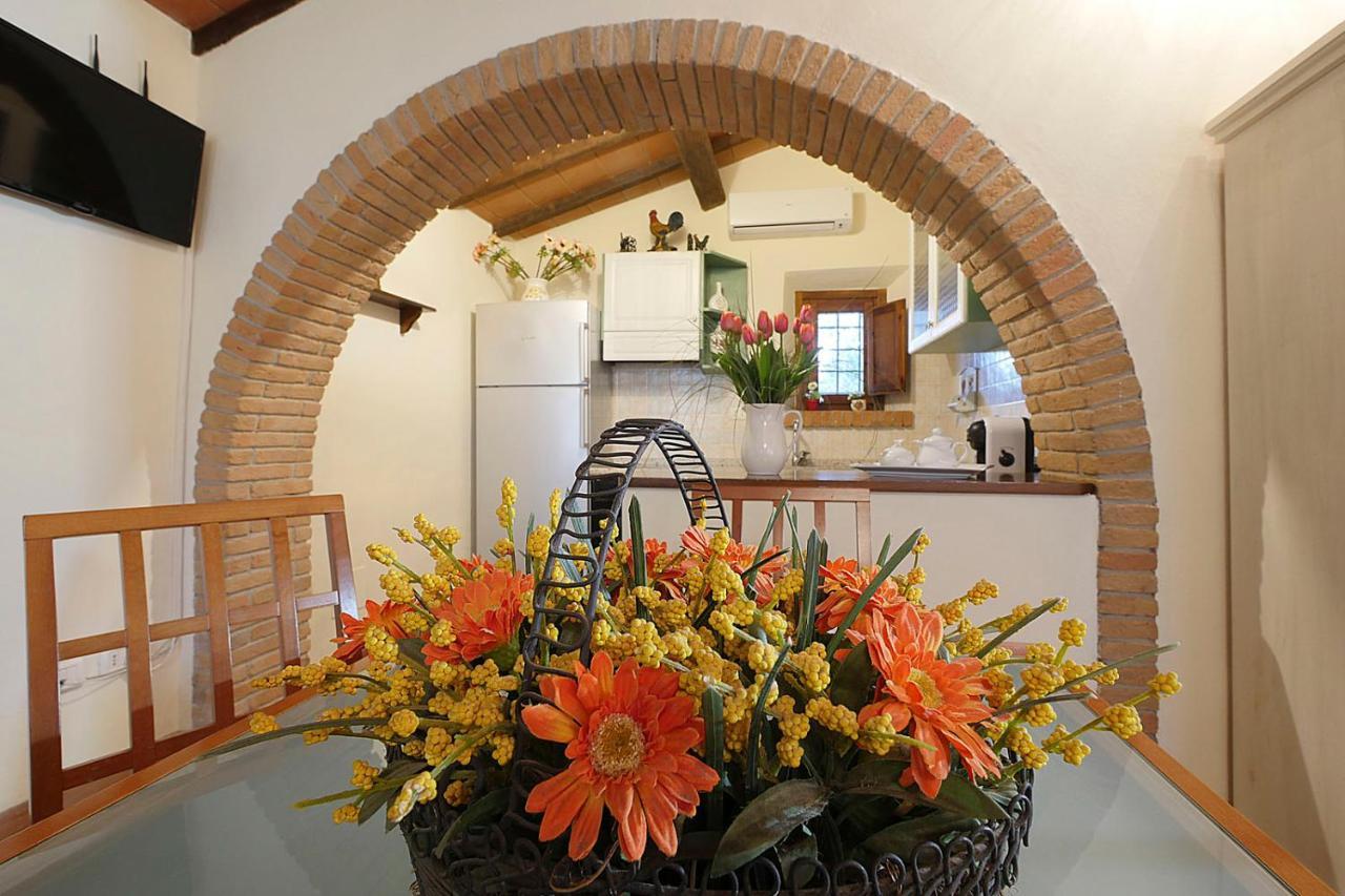 Agriturismo Le Vallette Bibbona Ngoại thất bức ảnh