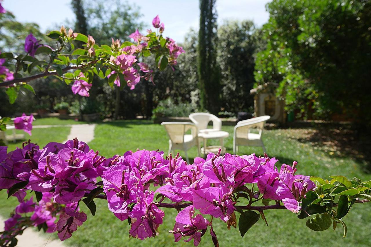 Agriturismo Le Vallette Bibbona Ngoại thất bức ảnh