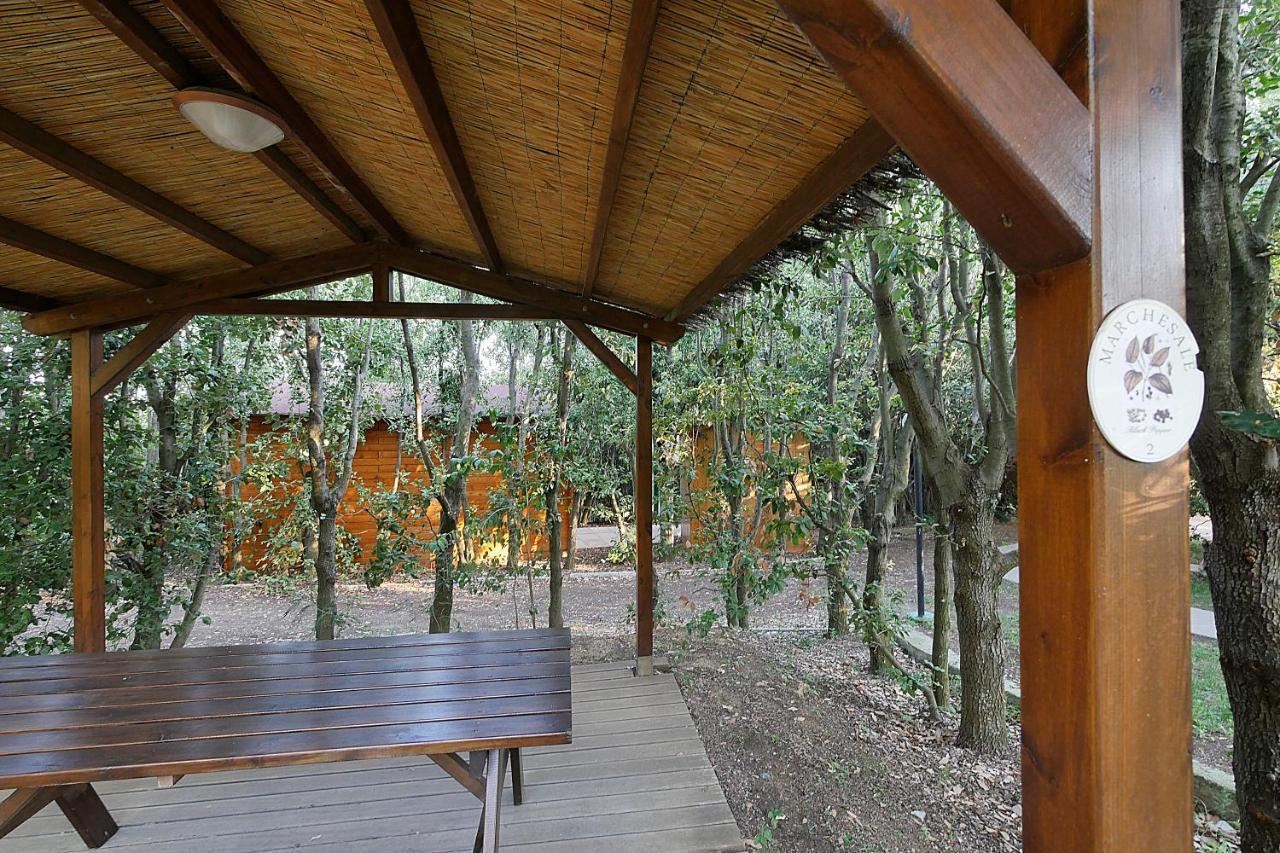 Agriturismo Le Vallette Bibbona Ngoại thất bức ảnh