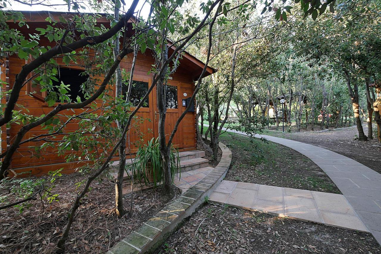 Agriturismo Le Vallette Bibbona Ngoại thất bức ảnh