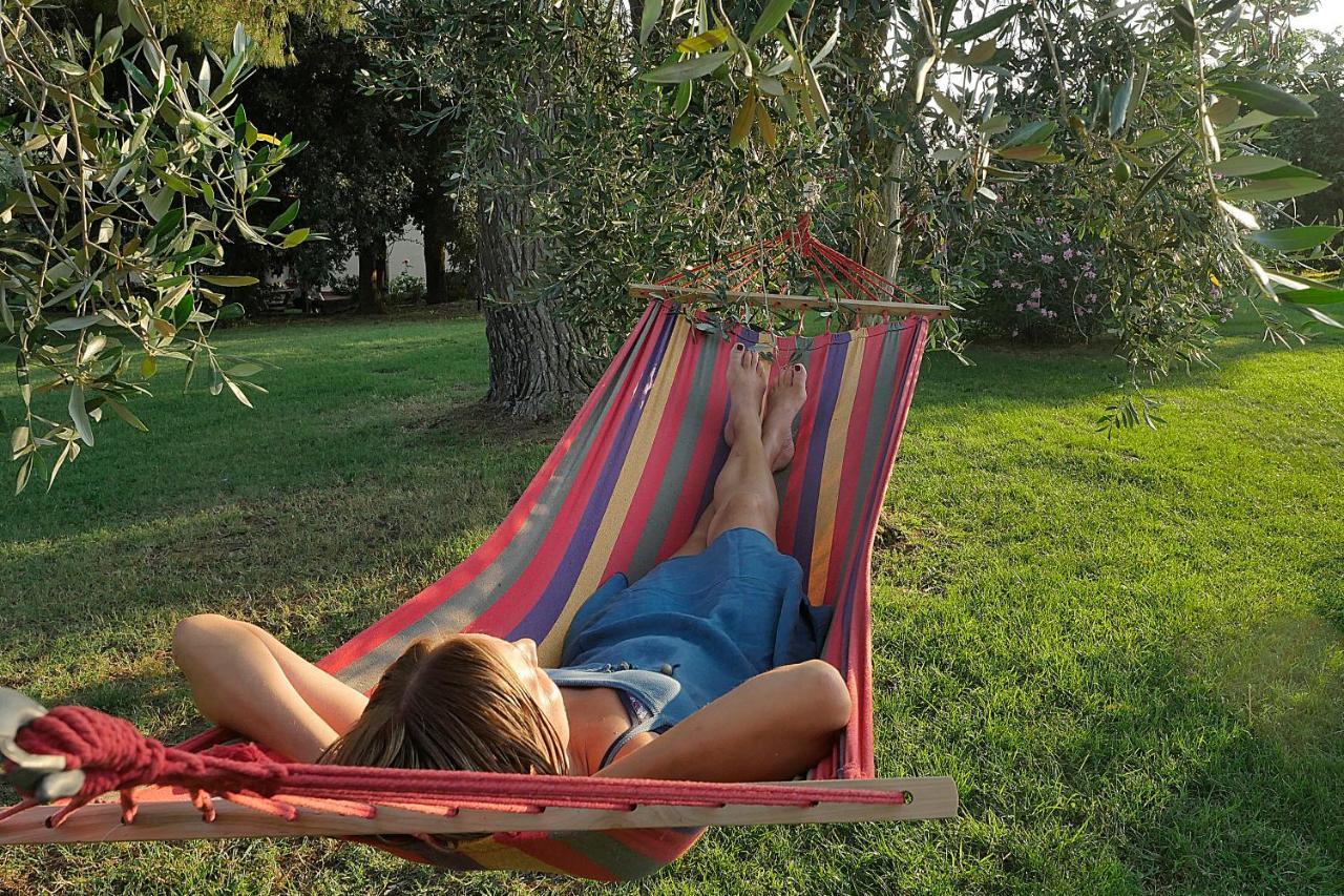Agriturismo Le Vallette Bibbona Ngoại thất bức ảnh