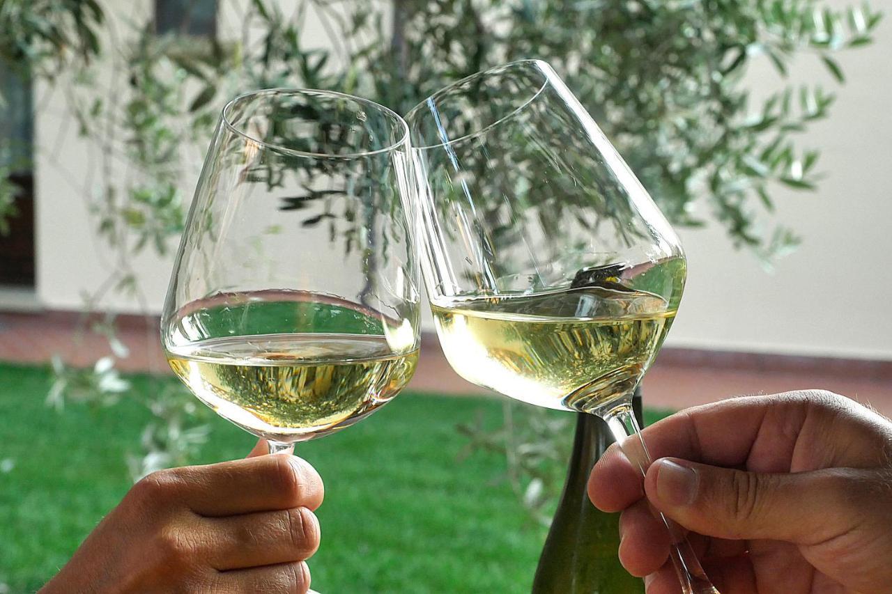 Agriturismo Le Vallette Bibbona Ngoại thất bức ảnh
